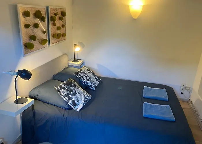 Le Merle Rose * Toulouse