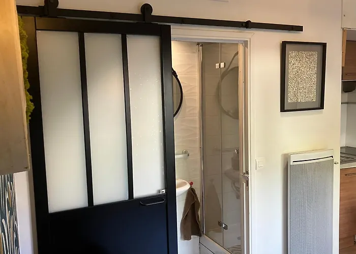 Le Merle Rose Lejlighed Toulouse