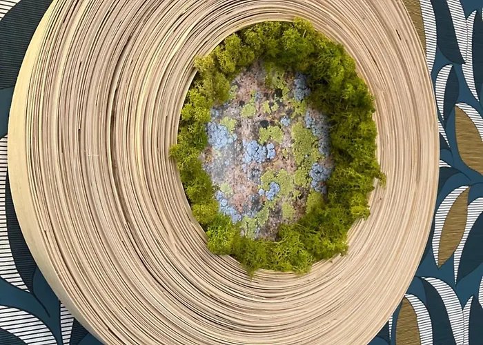 Le Merle Rose Lejlighed