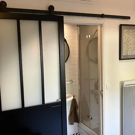 Le Merle Rose Apartmán Toulouse